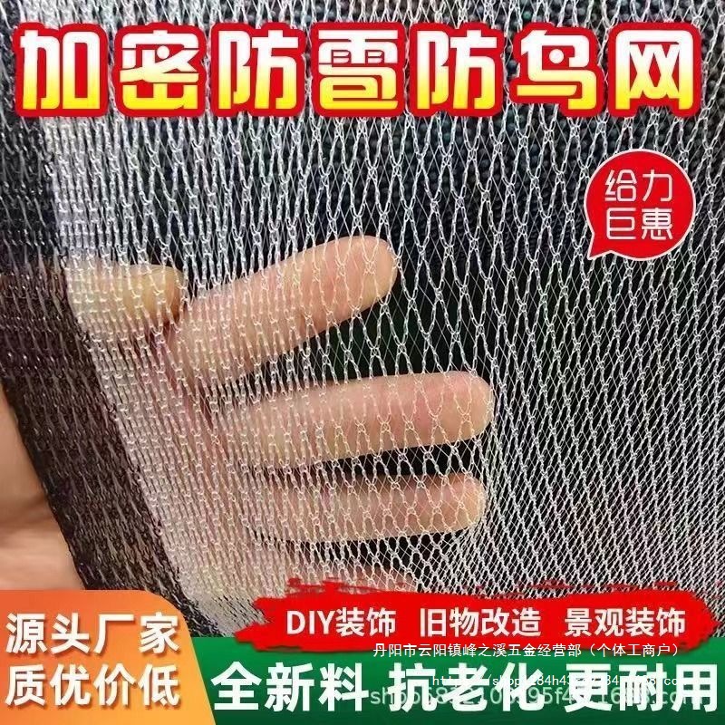 经久耐用葡萄农用防冰雹网果园防护樱桃网防猫防鸟围栏挡网网格网