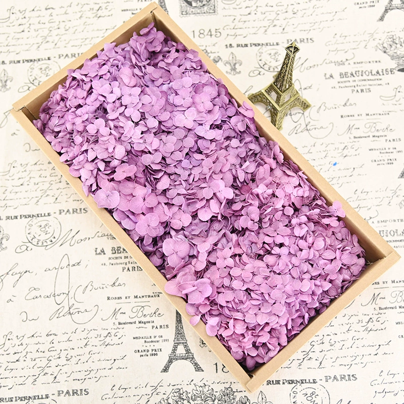 幻花永生花 AB Class Anna hydrangea 100g birthday real flower material DIY material dry flower decoration girlfriend gift