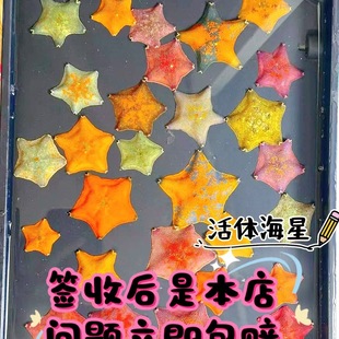 ���Ǻ���С���ﺣ�׻��w�����ɴ������㺣�������坍ˮĸ����