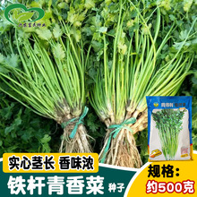 ͬ�����F�U����˷N�� �F�Uζ���Ͷ����F�Uܾݴ �������߲���