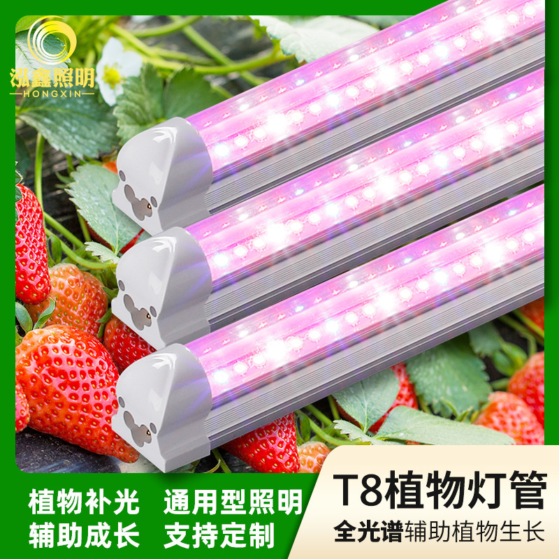 Plant Light, Succulent Supplementary Light, Full-Spectrum Growth and Color-Enhancing Integrated High-Power Dual-Row High-Brightness Lamp Plant Light, Succulent Supplementary Light, Full-Spectrum Growth and Color-Enhancing Integrated High-Power Dual-Row High-Brightness Lamp