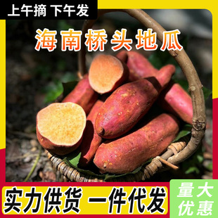 �������ڸ������^�ع�ɳ�ؼt���F�����r����������Ʒ���һ�����l