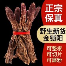 iꖃɹŰƬiˮݲɐaݾ