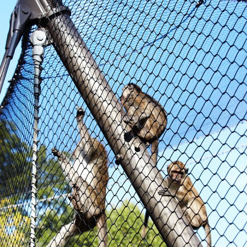 不锈钢绳网百鸟园网动物笼舍网钢丝绳手工编织隔离网动物园围栏