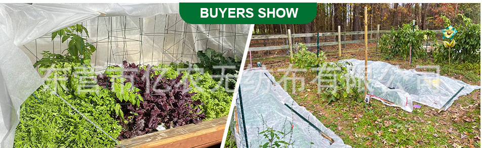 O1CN015WOU6I1bWgVqvB9N0_!!2924243473-0-cib.jpg?__r__=1722235696668