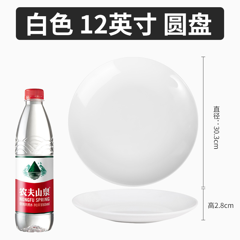 12 인치 도자기 화이트 디스크