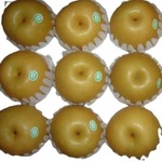 厂家常年供应出口新高梨 pear  欢迎选购  大量采购