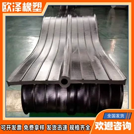 橡胶止水带;其他橡胶制品