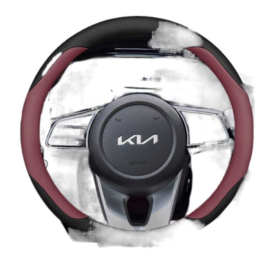 Lion Platinum Extension 2024 EV5 | Steering wheel cover