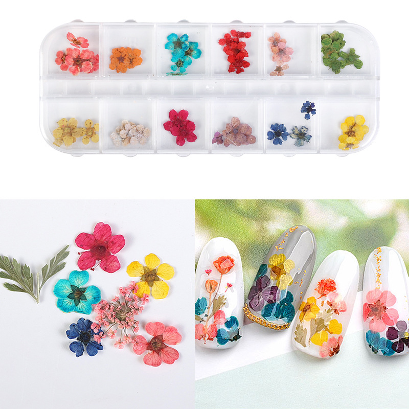 12 cajas de flores secas de manicura set de decoración de uñas pétalos de color decoración de uñas DIY adherencia pegatinas al por mayor