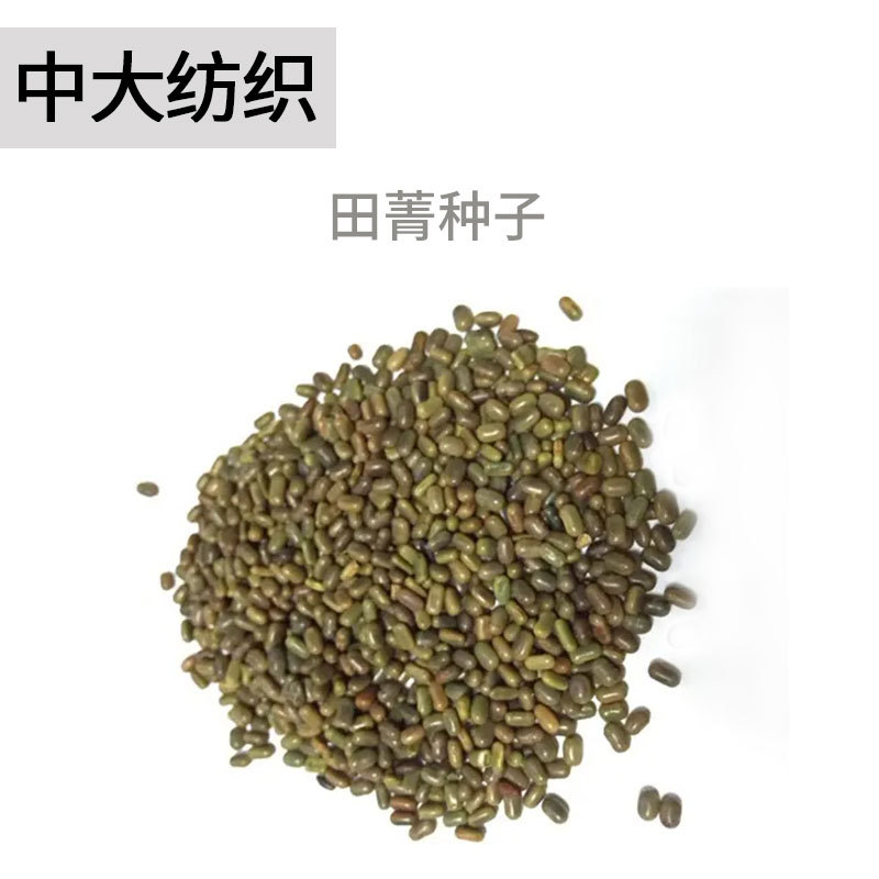 盐碱土壤改良绿肥绿化植物护坡固土耐涝耐旱牧草量大田菁种子批发