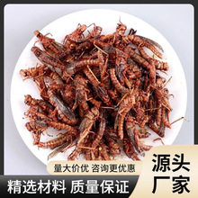 送礼蚂蚱油炸即食酥脆蝗虫食用蚱蜢零食香辣虫子蝎子熟食批发