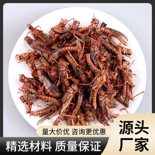 �ͶYΛ����ը��ʳ�ִ���xʳ��������ʳ�����x��ϐ����ʳ���l