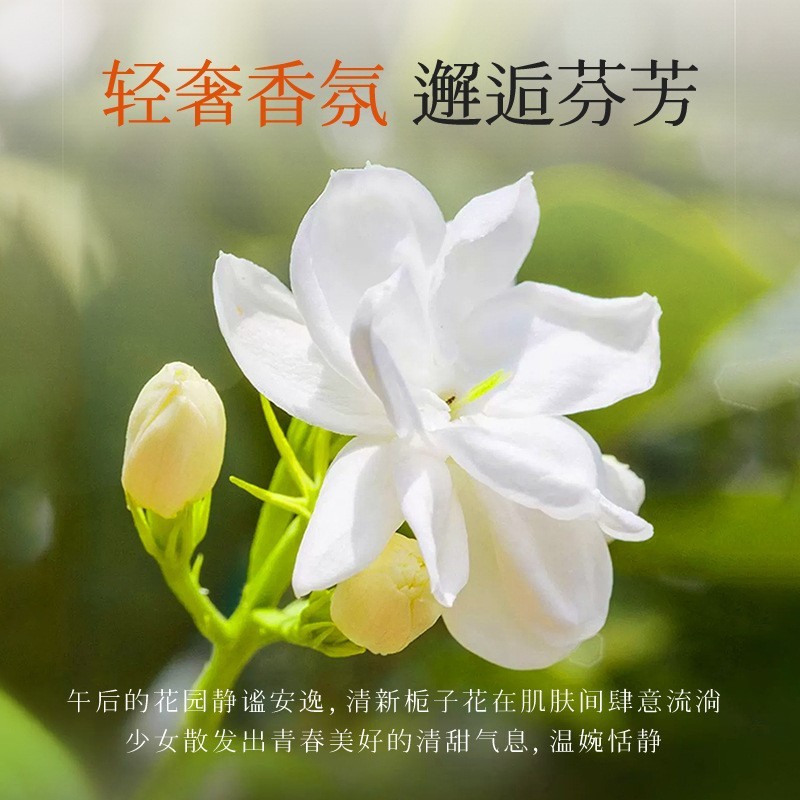 韩伦美羽栀子花精油香氛维E尿素护手霜补水保湿滋润防干裂润肤霜|undefined