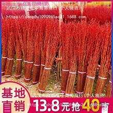 �y���滨�r֦�������������Լtɫ�ɻ���Ͱ�҃Ȼ��Gֲ��ѩ��������
