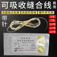兽用可吸收缝合线外科手术免拆羊肠线埋线猪牛羊宠物可吸收性肉线