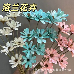 �ɻ����ӻ� ins�����ֹ����滨�Ҿ�Ӱ���Ĕz���߾Ƶ��b͏d�[��