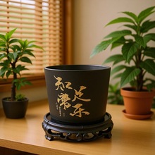 ɰ֪㳣ϻ҃ȶGֲ辰莧бP