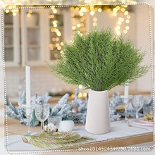 �羳����֦ ������֦-����ɫֲ����֦DIY����Ʒ�Ҿ�װ����������