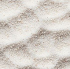 ����Û�l��΢����ͷ۰l�ݷ�56�z�r�÷Nֲ