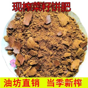 Rapeseed Oil Cake, Farmhouse Dish, Rapeseed Cake, Rapeseed Organic Fertilizer, Nutrient Soil Fertilizer, Fishing Oil Cake, Other Uses