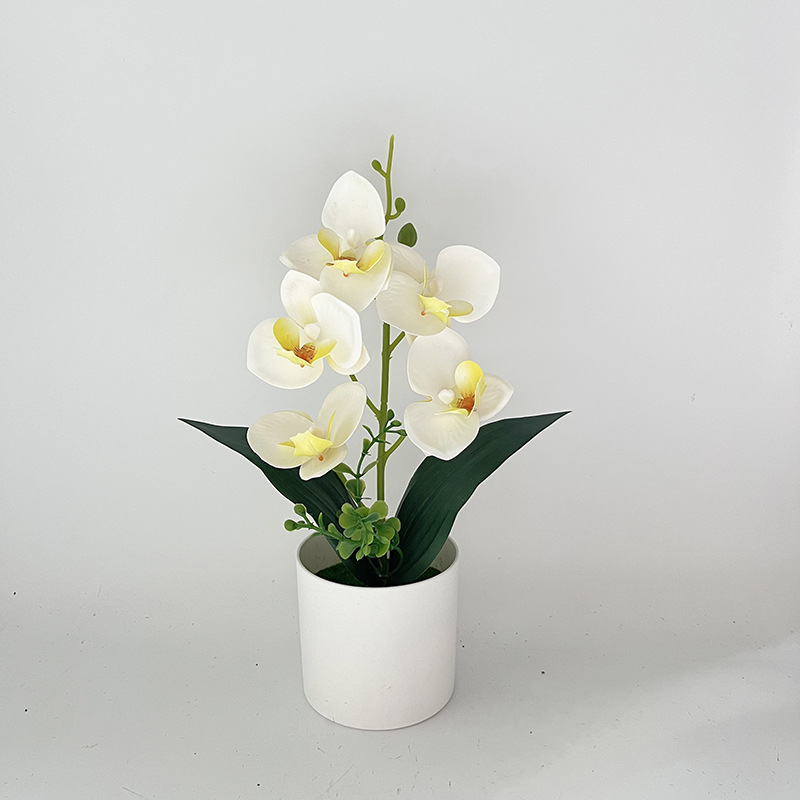 화이트 (높이 31*폭 17cm)