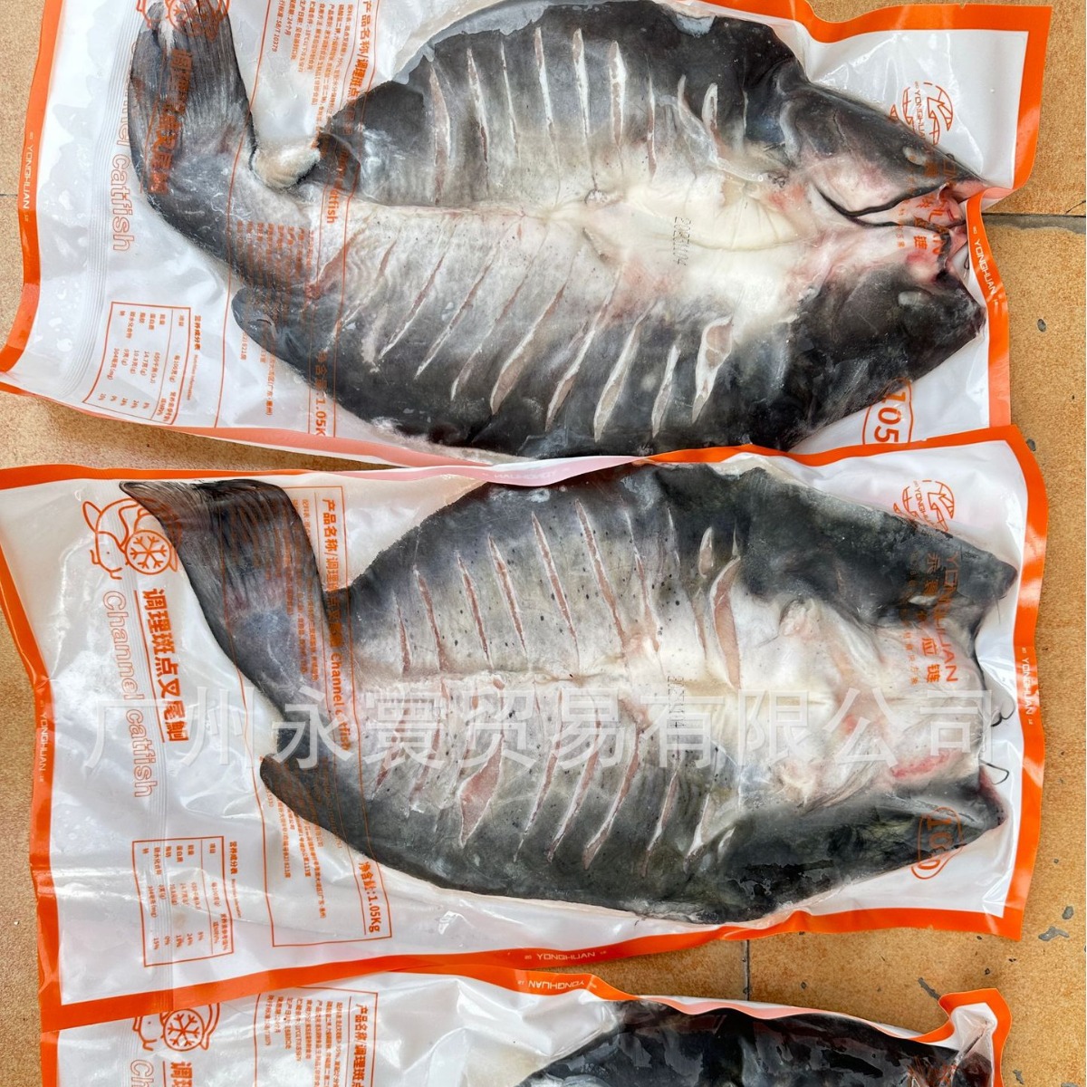 2024-05-14 16:51:16.jpg