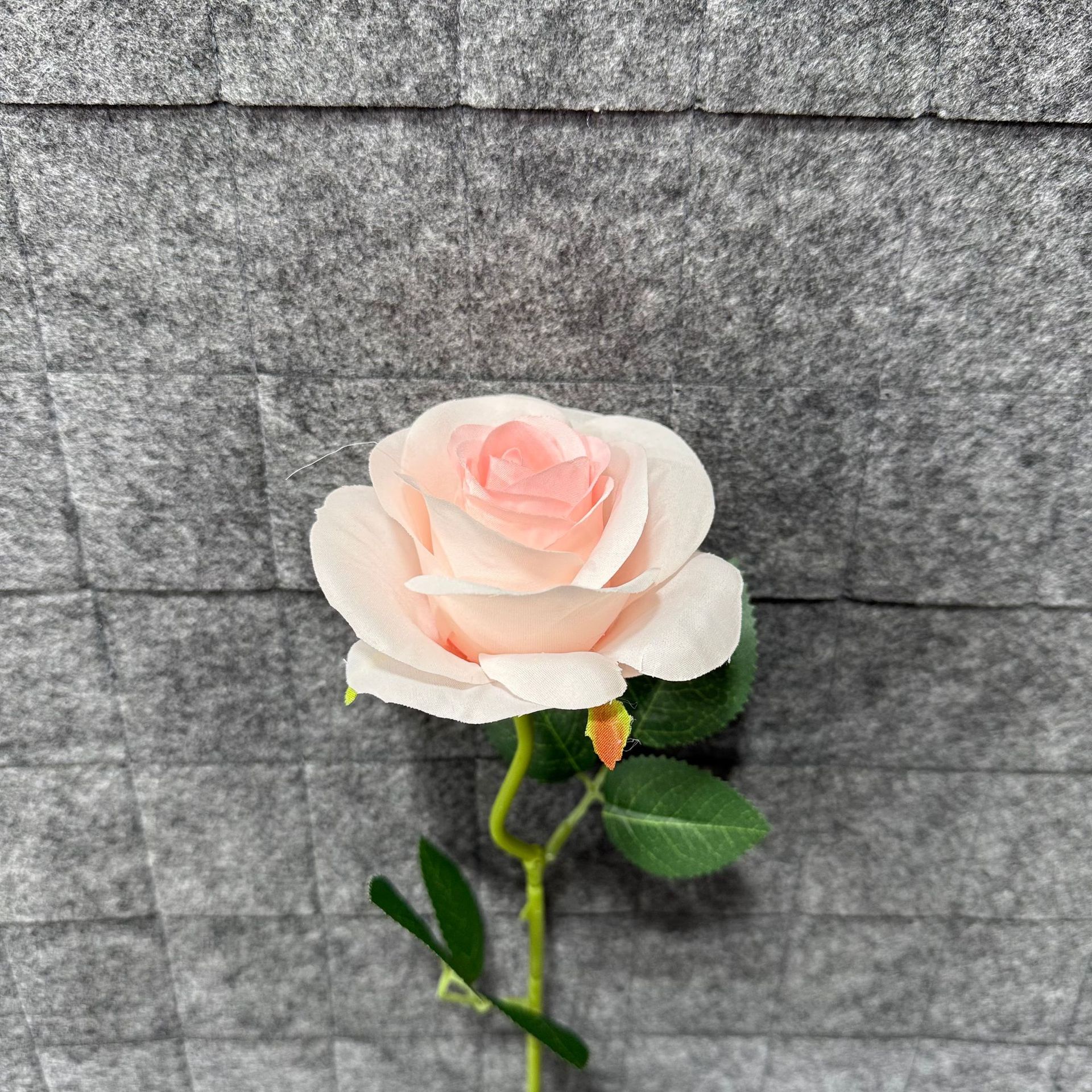 플라밍고 가루