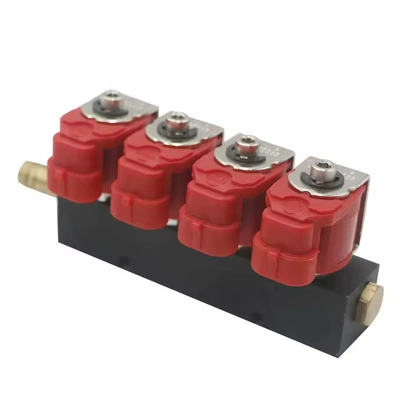 LPG/CNG four-cylinder injection unit Other starting systems