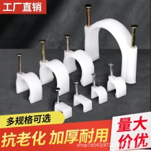 SֱNᔾA@6 8 10 12 14̖늾̶۹̶A