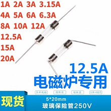电磁炉家用配件保险管250V 10A 12.5A 15A 20A 带引线保险丝5*20m
