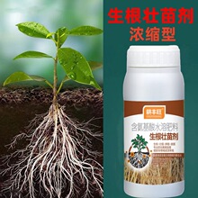 生根壮苗剂生根粉生根液移栽扦插果树花卉瓜果蔬菜植物强力发根剂