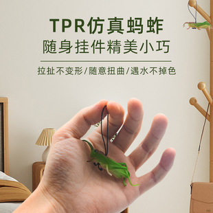 Simulation Science and Education Animal Grasshopper Insect Toy Children's Educational Exploration Soft Rubber Toy Animal Small Ornaments Pendant