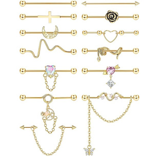 Cross-Border 13-Piece Set of Earrings, Ear Bone Nails, Chains, Moon Snake Ear Bridges, Industrial Double Ear Hole Earrings, Piercing Jewelry