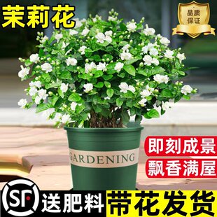 ���������Ԏ������������Ϙ����ܾGֲ���҃��ļ��_���ˮ���d��