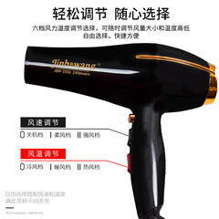 Jinbo King Hair Salon Professional High Power Hair Dryer Household Hair Dryer Hair Styler Ionic Cross-border Manufacturer