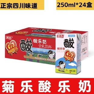 Chrysanthemum yogurt sour milk milk beverage 250ml * 12 boxes/260g * 24 boxes/box