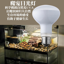 ˮ޽Ǳy،mxUVA՟ӟҹչӜؕ