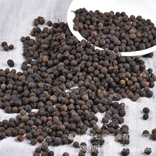 ��ș�ĬF؛���l ɜ���� ������ ɽ�n��ɽ��ľ������������