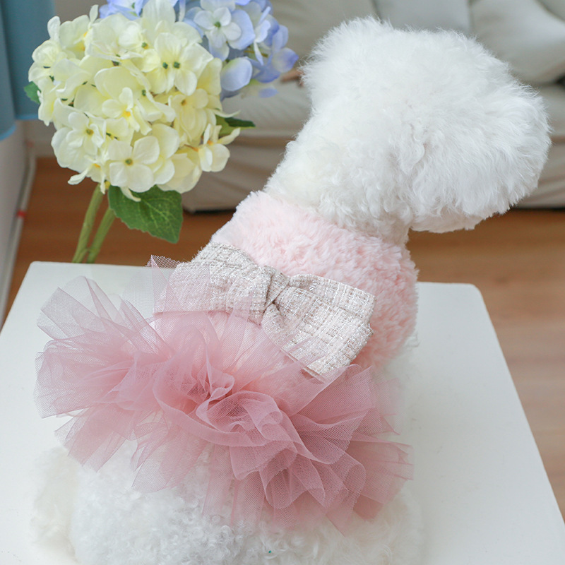Ropa para mascotas forrada de lana engrosada otoño e invierno nuevo cálido cachorro gato ropa princesa arco fragante falda de gasa