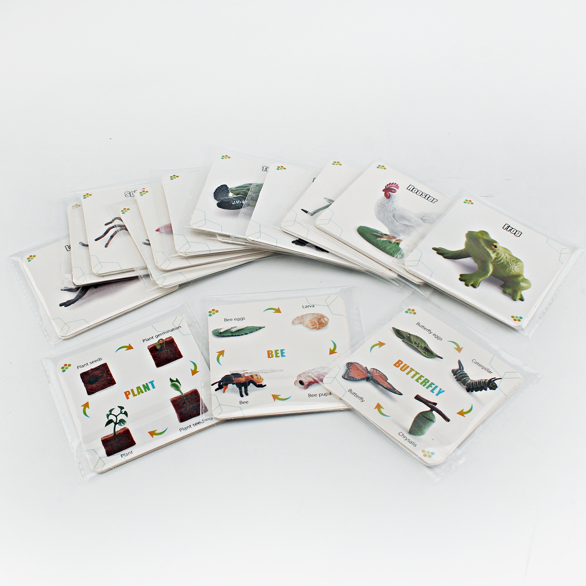 Tarjetas Didácticas de Aprendizaje Infantil de Papel para Desarrollo Intelectual y Educación Temprana