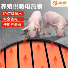 豐晴畜牧養殖場電熱膜養豬場石墨烯封裝發熱膜豬圈豬舍加熱地暖