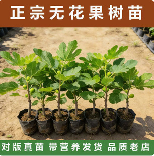 �o������������Ԏ��������t�ش���Ϸ������̨ˮ�����箔��Y��