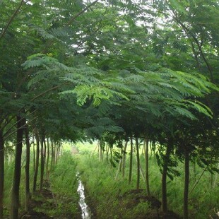 �������� ������ ��צ������ ���� �S�𻱘��� �ͺ��ͺ� �G����ľ