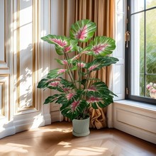 ���R�d�羳�t�������~�Gֲ�쾰�@���bҾӻ�c