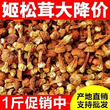 姬松茸干货500g云南无熏硫食用野生菌菇巴西蘑菇包邮特产煲汤整箱