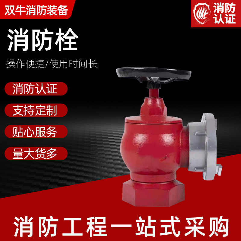 现货室内消防栓SN65室内消栓2.5寸消防水带阀门船用消防栓头室内