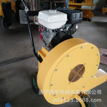 手推式路面吹风机 小型吹风机价格 汽油手推式吹风机