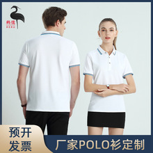 新款纯色polo衫定制翻领t恤工作服丝光棉短袖企业工衣文化衫批发