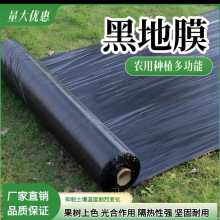 厂家直销农用一次性种植加厚抗老化塑料薄膜农用黑色除草地膜